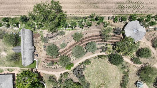 Huerto sintrópico Gaia, septiembre 2025.