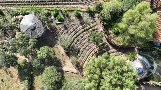 HUERTOS SINTROPICOS 500007