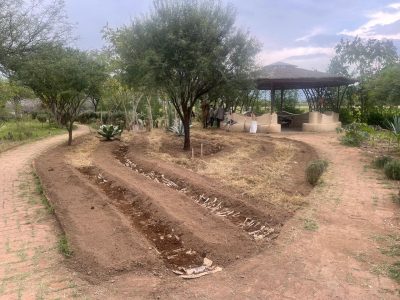 Huerto Hongo, preparación de las camas sintrópicas, septiembre 2025.