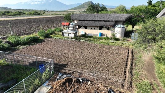 Huerto sintrópico forrajero, antes.